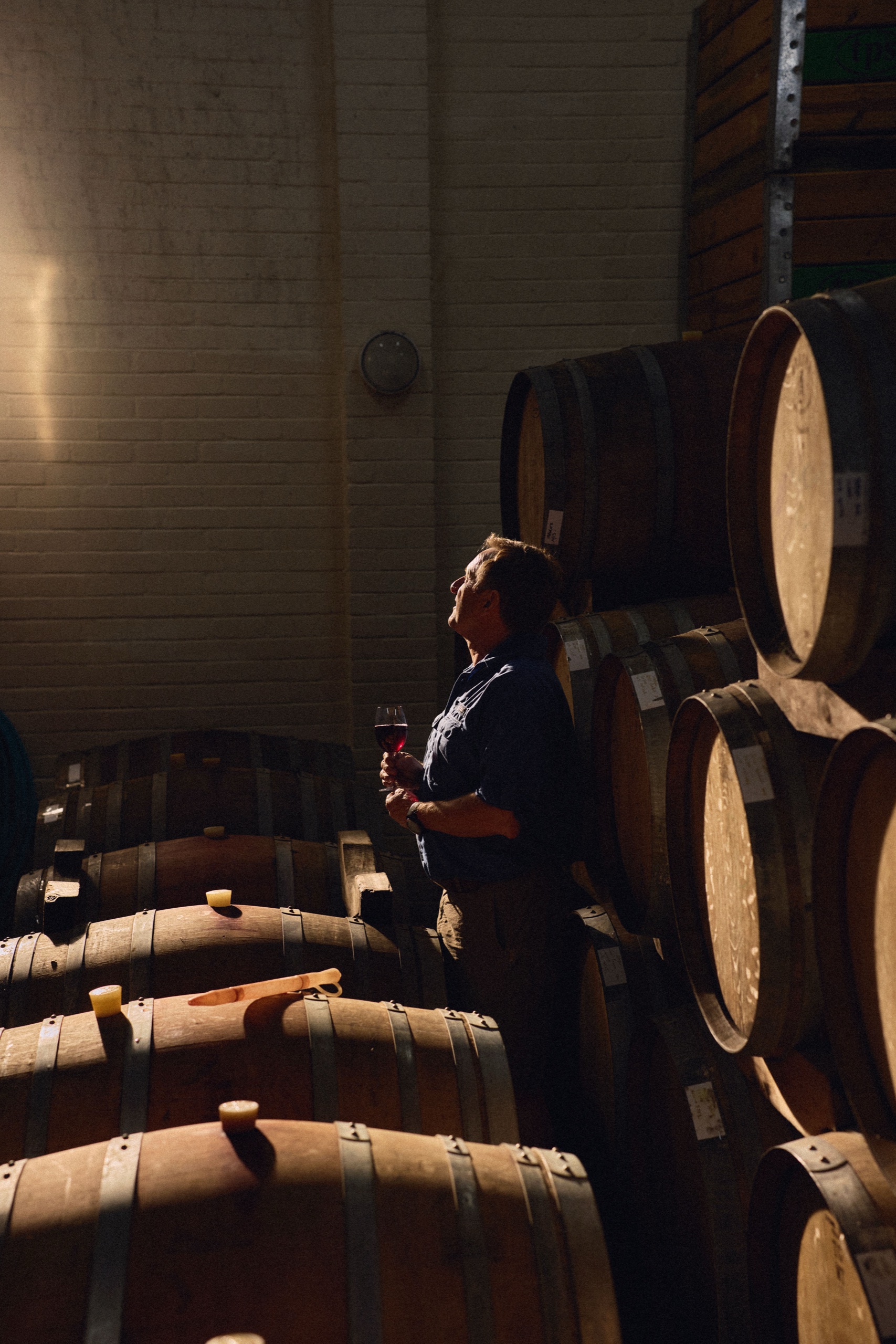 Detail of barrels stacked in the cellar